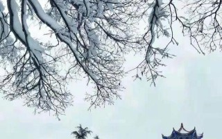 寒风吹起细雨迷离