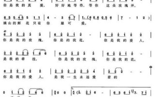 你是我的玫瑰花手语舞