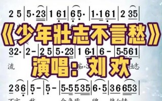 少年壮志不言愁歌词