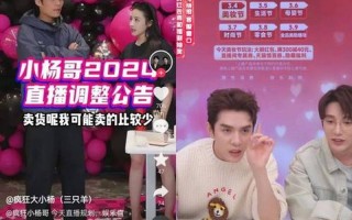 李佳琦补缴税款17亿