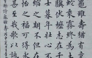 曹操的诗以什么见称