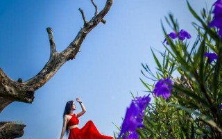 老林小娜免费阅读遗忘的岁月