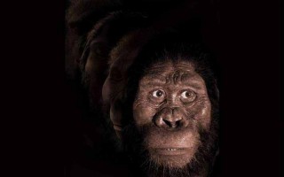 世界上之一个人类