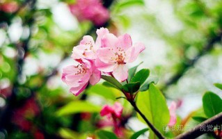 女方提出离婚吃亏在哪儿(女方提出离婚吃亏在哪里呢?)