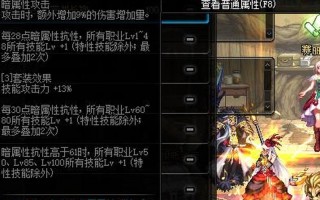 黑暗武士带什么防具