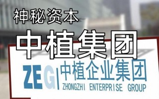 中植系背后的靠山是李什么