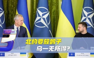 乌克兰加入北约是什么意思