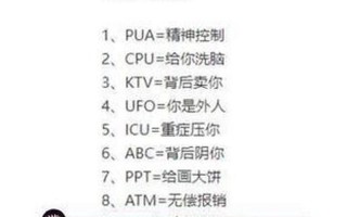 CPU *** 用语是什么意思
