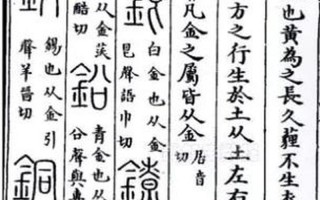 光阴似箭指什么生肖