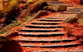 枫叶千枝复万枝 江桥掩映暮帆迟