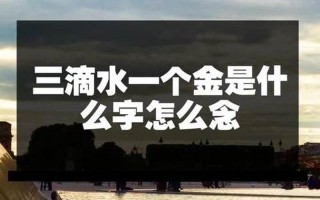 三点水加金念什么