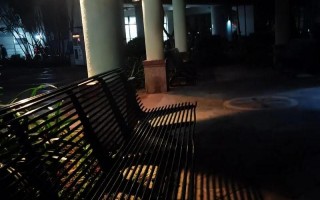 夜色阑珊是什么意思