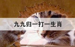 高风亮节打一生肖