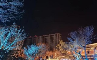 晚上睡不着求个地址