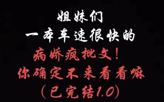 比乐可比车速快的书