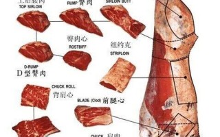 肥牛不包括牛尾还是外脊
