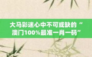 最准一肖一码100准吗