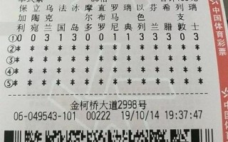 足彩胜平负怎么玩