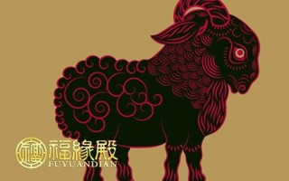 大器晚成打一正确生肖