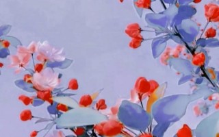 凌晨四点钟我看见海棠花未眠下句