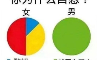 飞机女是什么意思