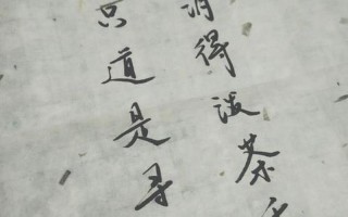 当时只道是寻常柴丝言