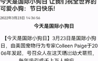 国际小狗节是几月几日