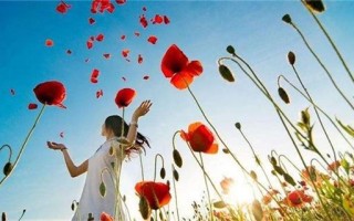 李沁肖战在一起了吗 李沁肖战被曝合影疑似因戏生情