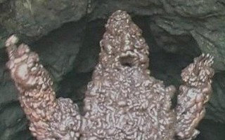 下水道的美人鱼简介