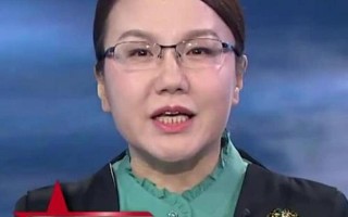 李莉军事专家身世