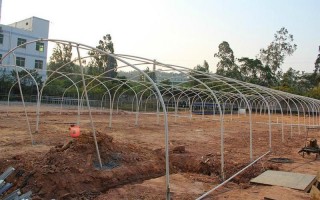 大棚怎么样建造的