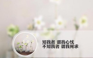 不知我者谓我何求