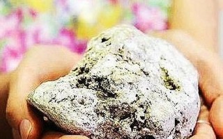 全世界最贵的粑粑