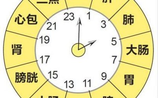 早上5点是什么时辰