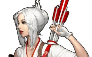 太阁立志传5 女忍者