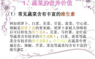 蔬菜主要向人们提供什么营养