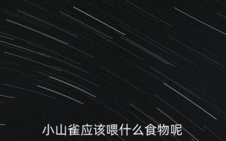 更大的地方打一成语