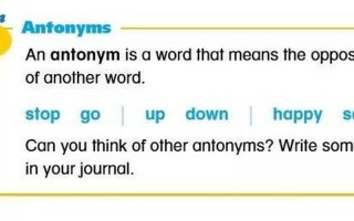 stop的反义词是什么