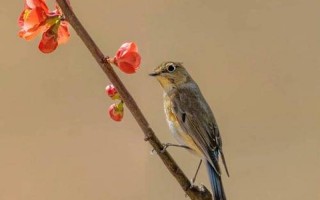 贫居依谷口下一句