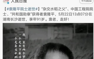 袁隆平的简短简介