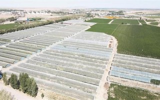 致富网小投资工厂项目