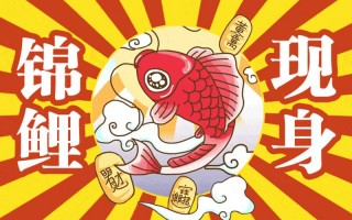 求锦鲤是什么意思