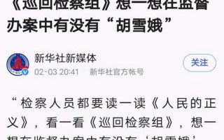 巡回检察组哪个台几点播出