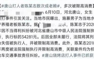唐山打人案9人判10年