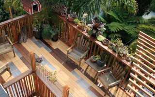 后花园是哪个部位