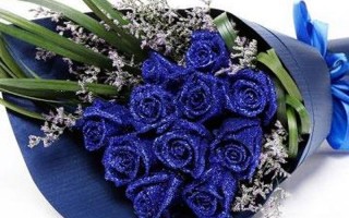 蓝色妖姬适合送老师吗