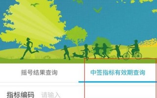 北京市小汽车摇号查询系统