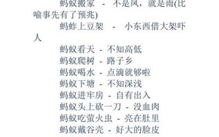 饺子破皮歇后语下一句是什么
