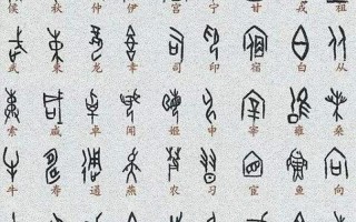 甲骨文写在什么上面