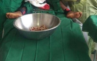 玉米男孩抠虫子图片